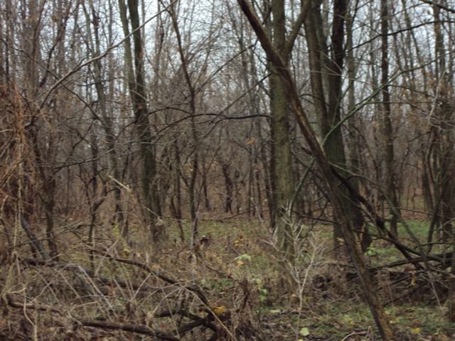 Property photo 2 - 62.7 Acres in 2 Tracts - Recreation and Potential Building Sites
